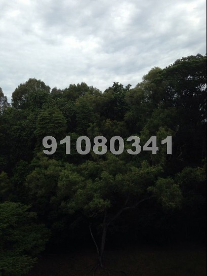 Clementi Park (D21), Condominium #1042812